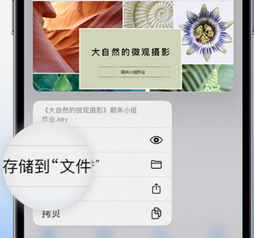 黄岩apple维修中心分享iPhone文件应用中存储和找到下载文件