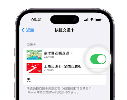 黄岩apple维修点分享iPhone上更换Apple Pay快捷交通卡手绘卡面 