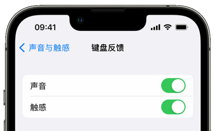 黄岩苹果手机维修分享iPhone 14触感键盘使用方法 