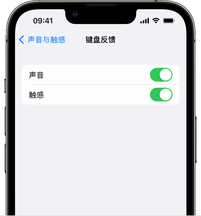 黄岩苹果14维修店分享如何在 iPhone 14 机型中使用触感键盘 