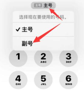 黄岩苹果14维修店分享iPhone 14 Pro Max使用副卡打电话的方法 