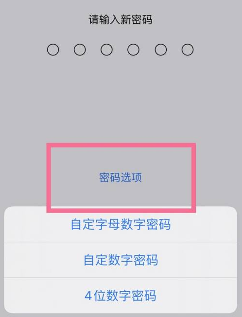 黄岩苹果14维修分享iPhone 14plus设置密码的方法 