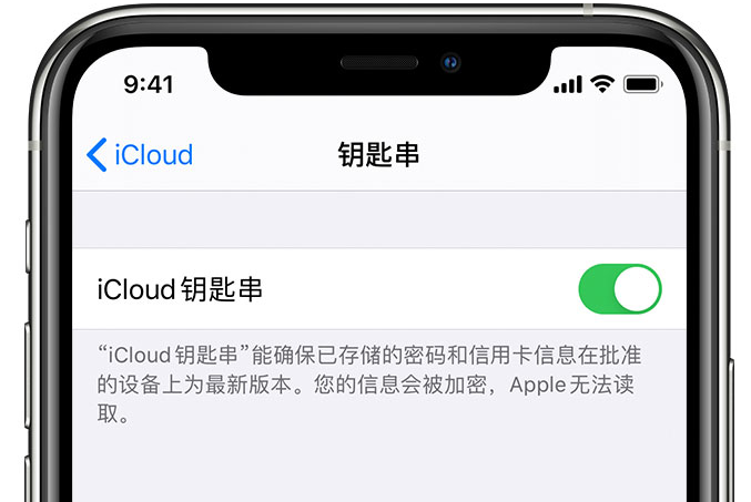 黄岩苹果手机维修分享在 iPhone 上开启 iCloud 钥匙串之后会储存哪些信息 